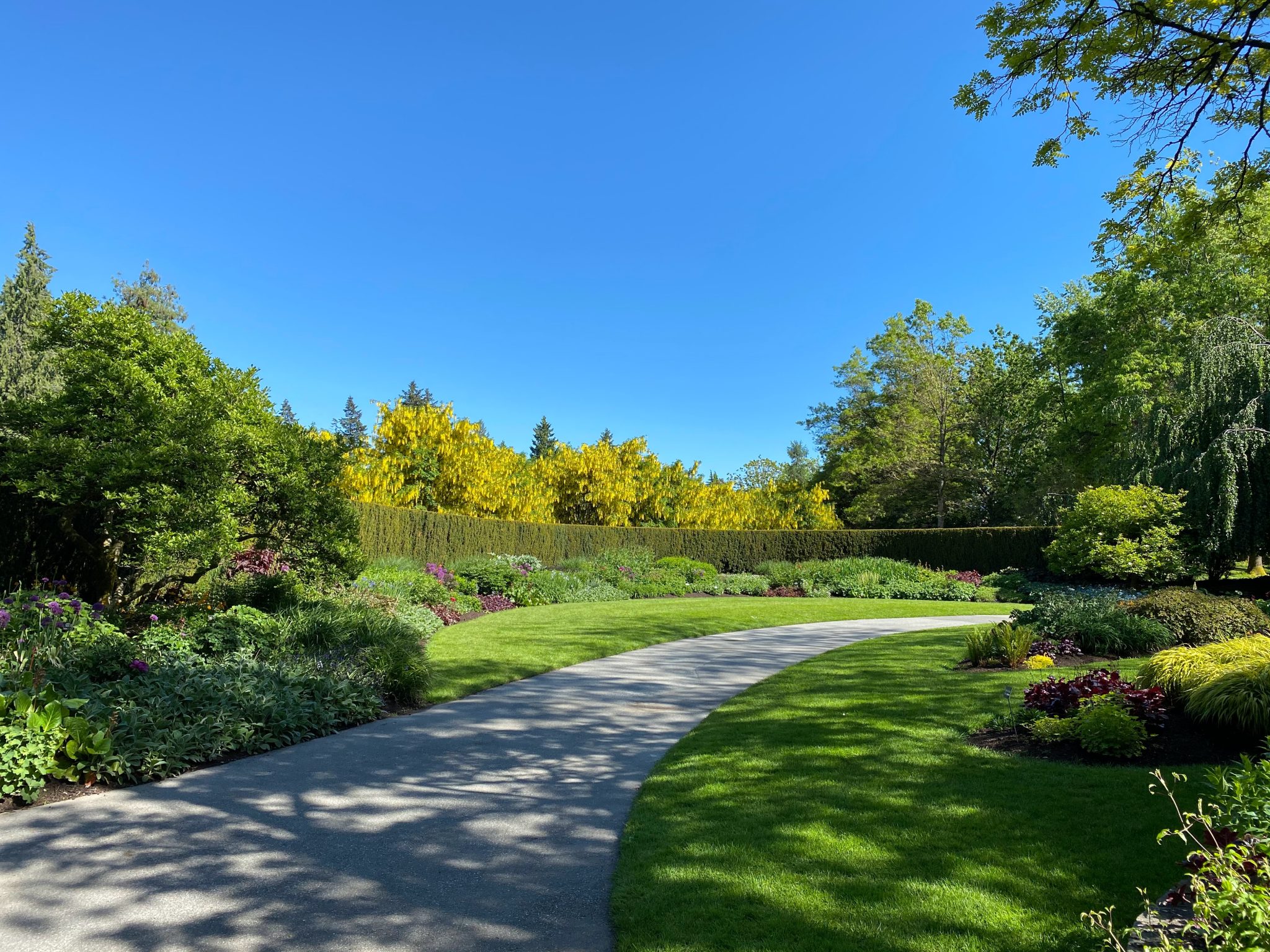 Plan a fun-filled day exploring the beautiful Geelong Botanical Gardens