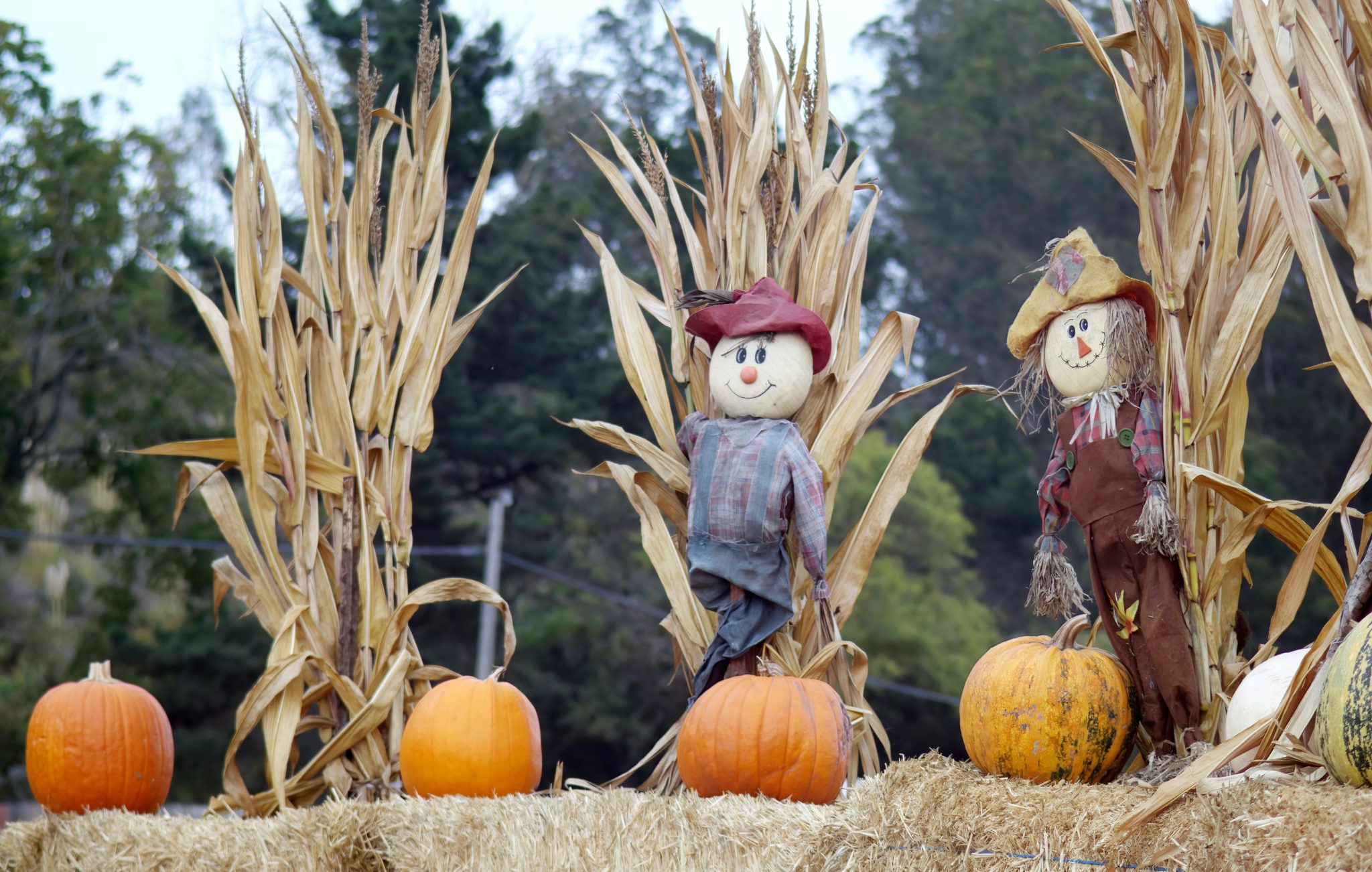 GET CRAFTY WITH THE 4TH GREAT ANNUAL SCARECROW COMPETITION