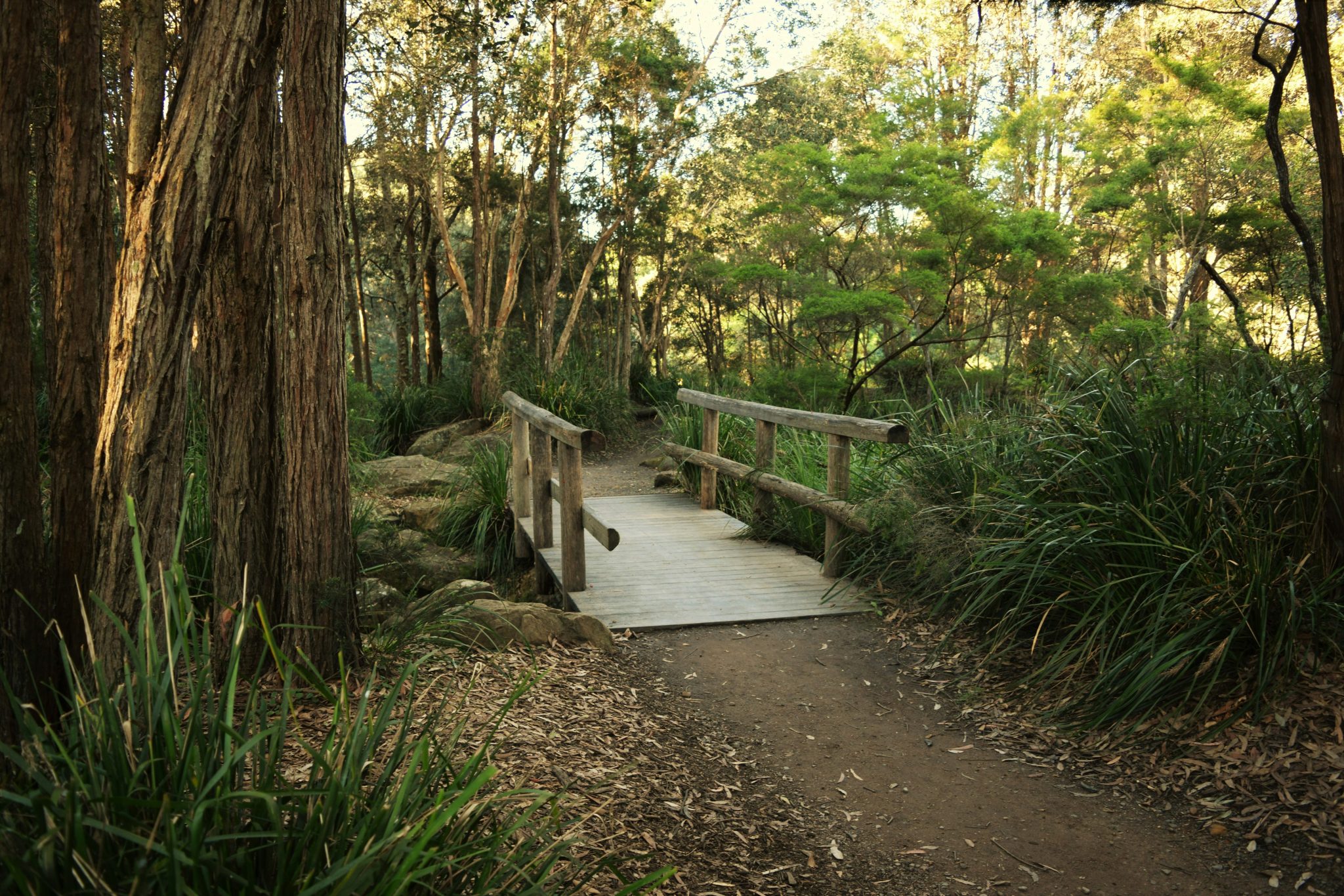 Spend a day outdoors exploring Glenlee’s backyard